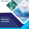 Roteiro Aula Prática - Radiologia Veterinária